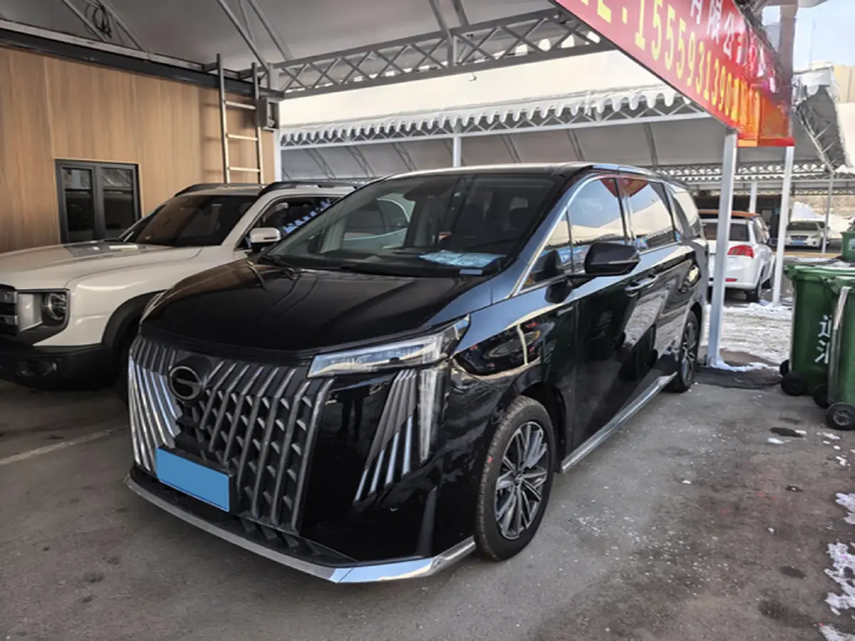 2024 GAC Trumpchi M8 2.0T 252HP L4 8AT