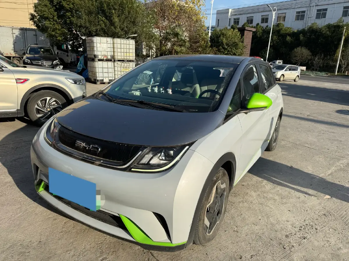 2021 BYD Yuan Pro BEV 50.1KWH