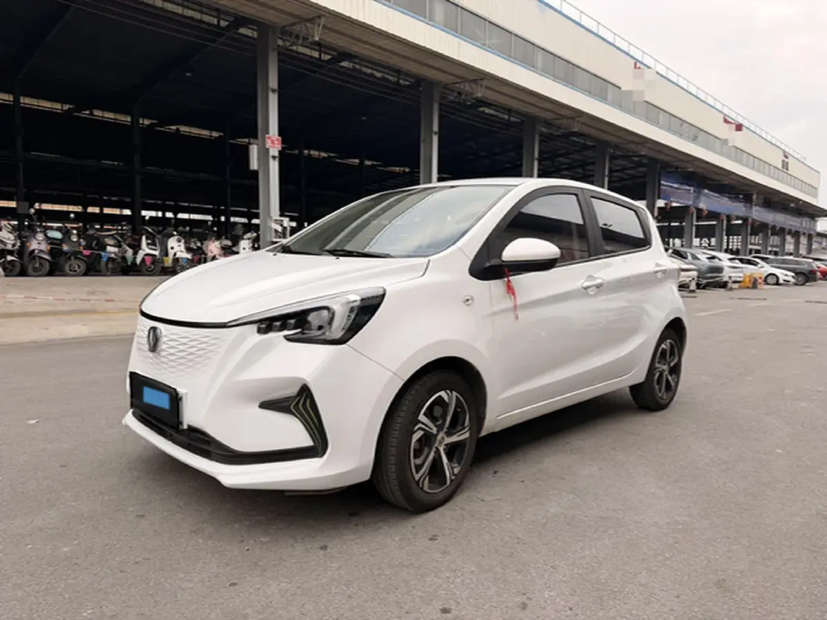2020 ChangAn BenBen E-Star BEV 32.2KWH