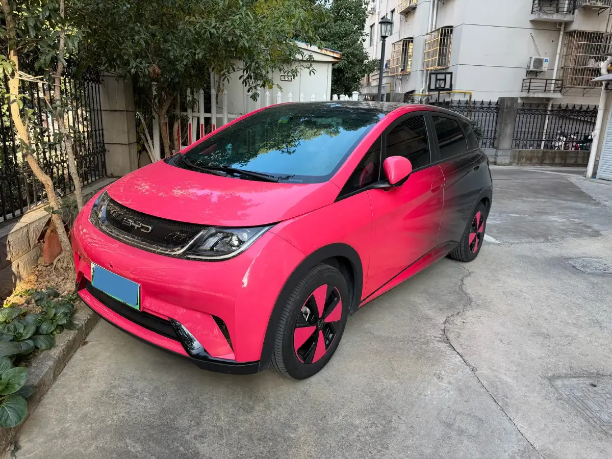 2023 BYD Dolphin BEV 44.928KWH