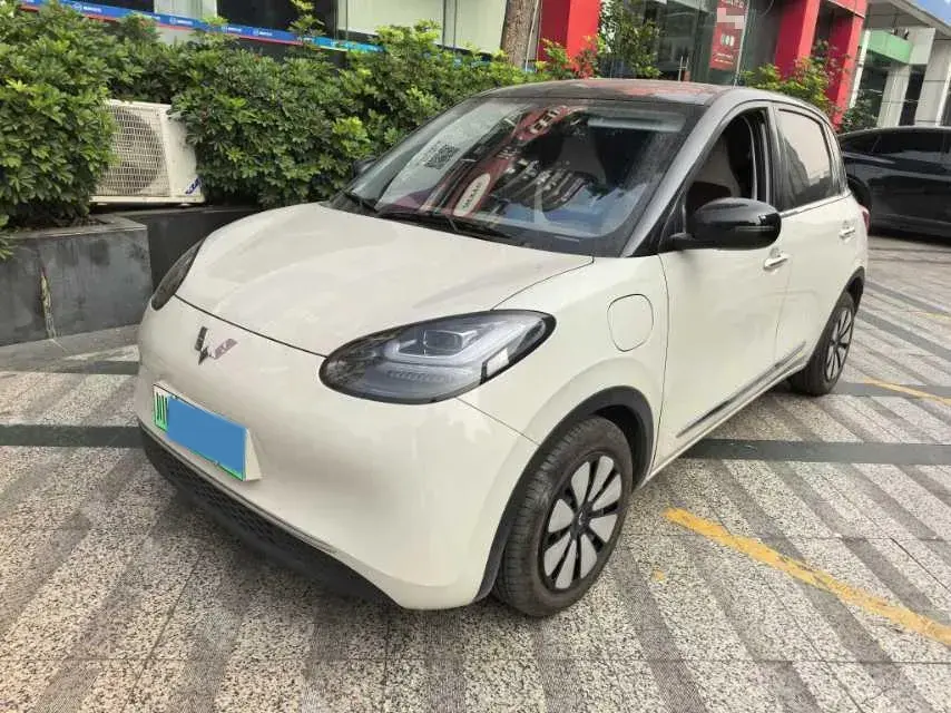 2024 WuLing BinGuo BEV 31.9KWH