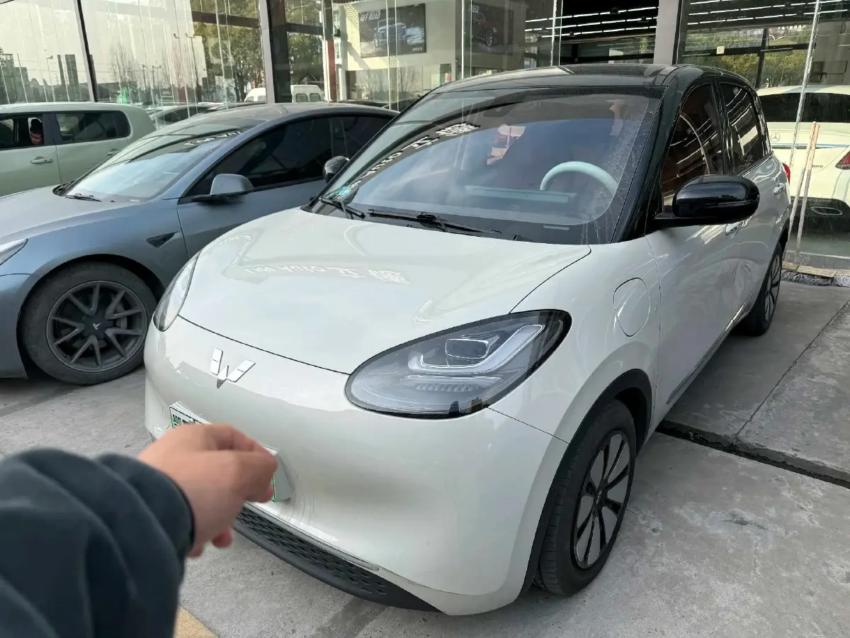 2023 WuLing BinGuo BEV 31.9KWH