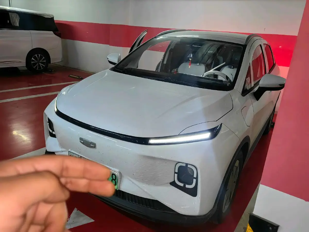 2022 Geometry E BEV 33.5KWH