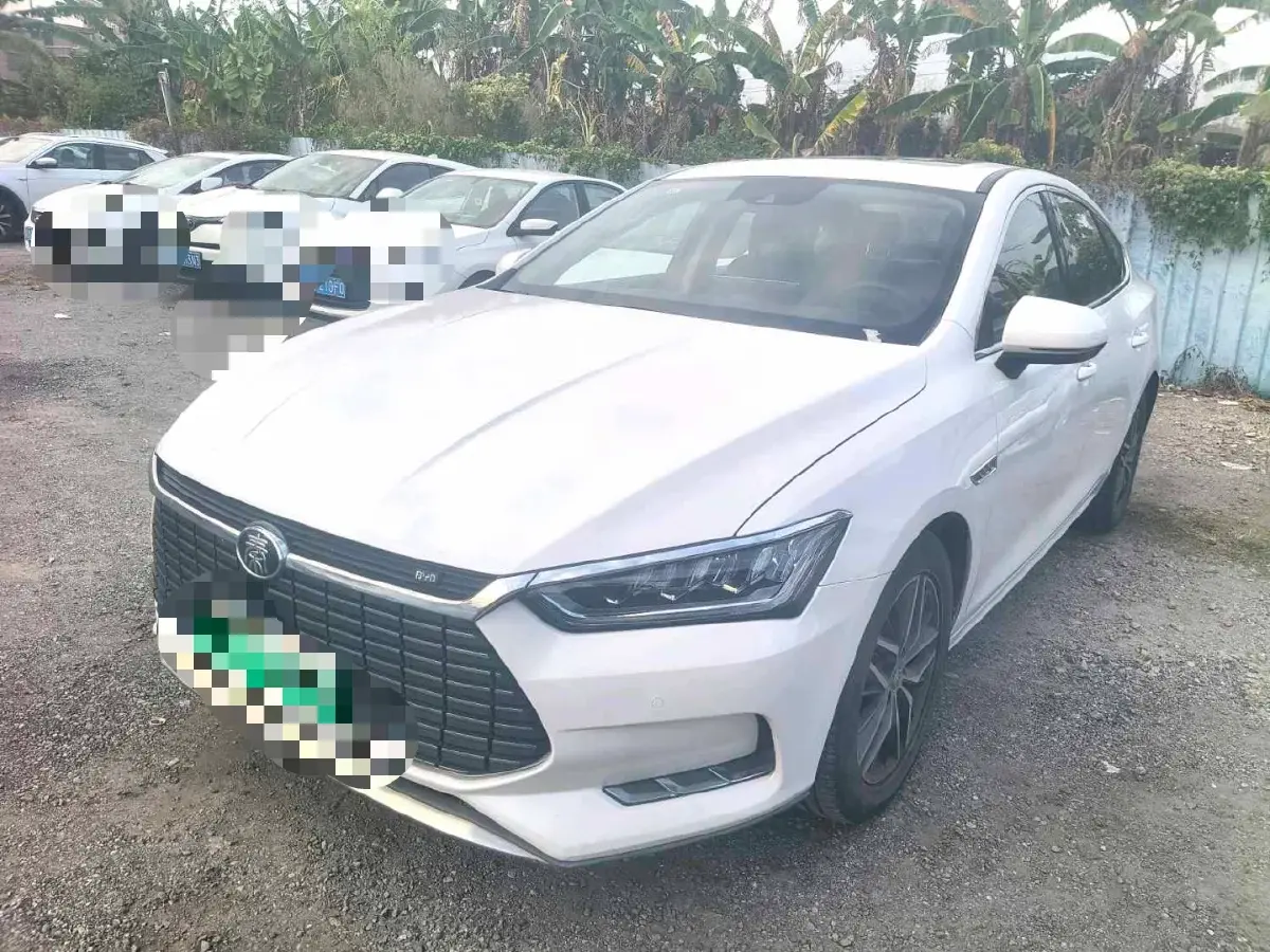 2019 BYD Qin Pro BEV 56.4KWH