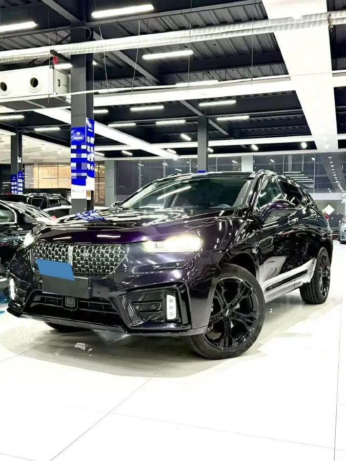 2020 WEY VV7 2.0T 227HP L4 7DCT