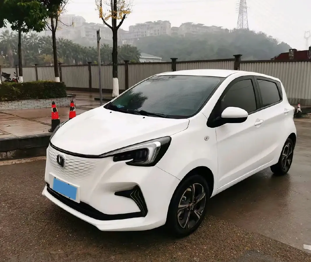 2020 ChangAn BenBen E-Star BEV 32.2KWH