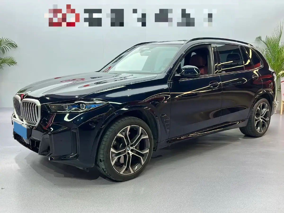 2023 BMW X5 3.0T 381HP L6 8AT