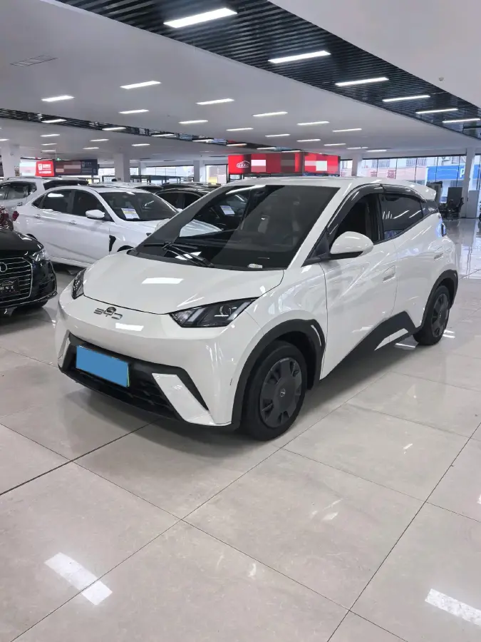 2024 BYD Seagull BEV 30.08KWH