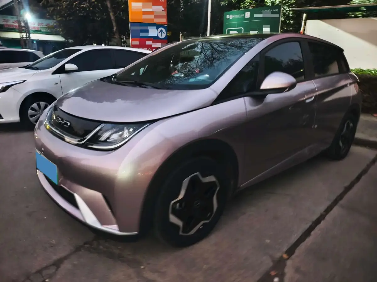 2021 BYD Yuan Pro BEV 50.1KWH