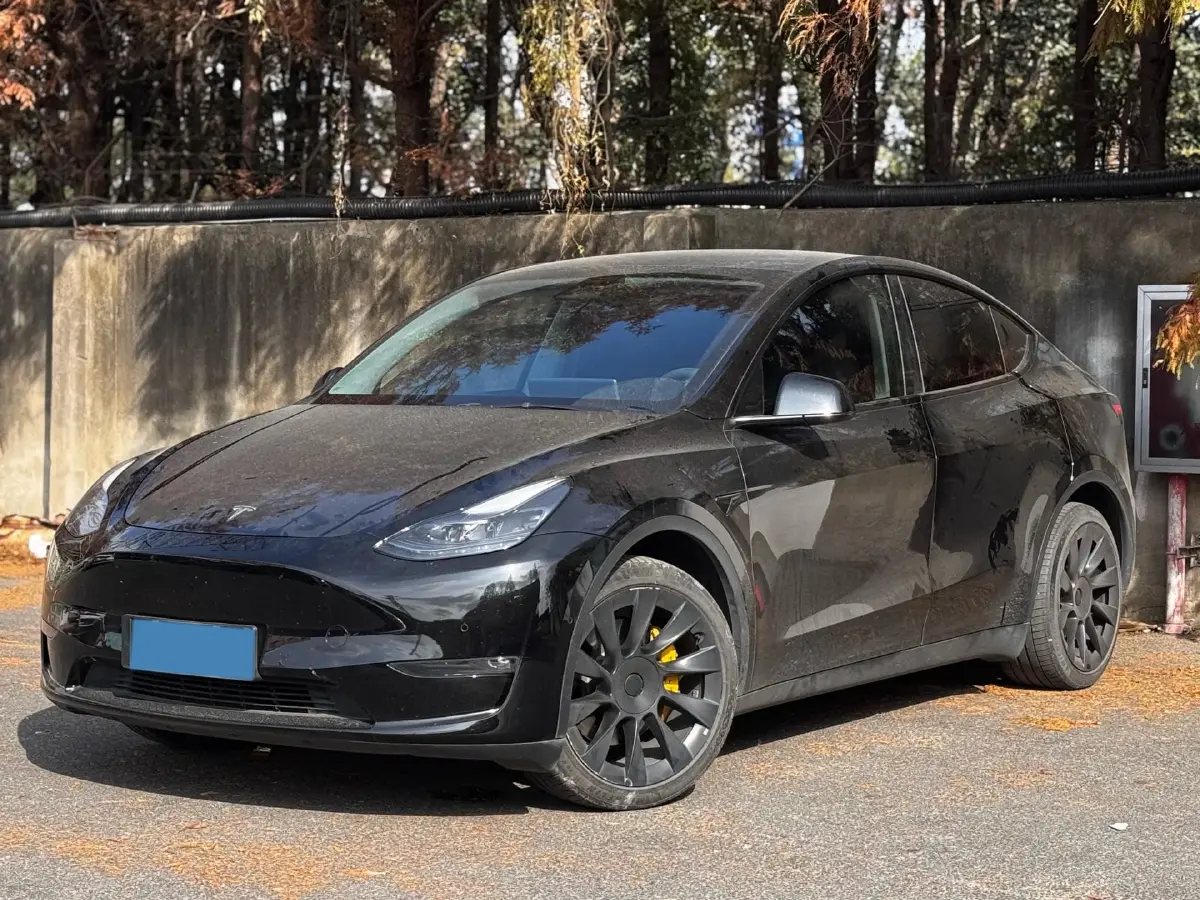 2021 Tesla Model Y BEV 76.8KWH