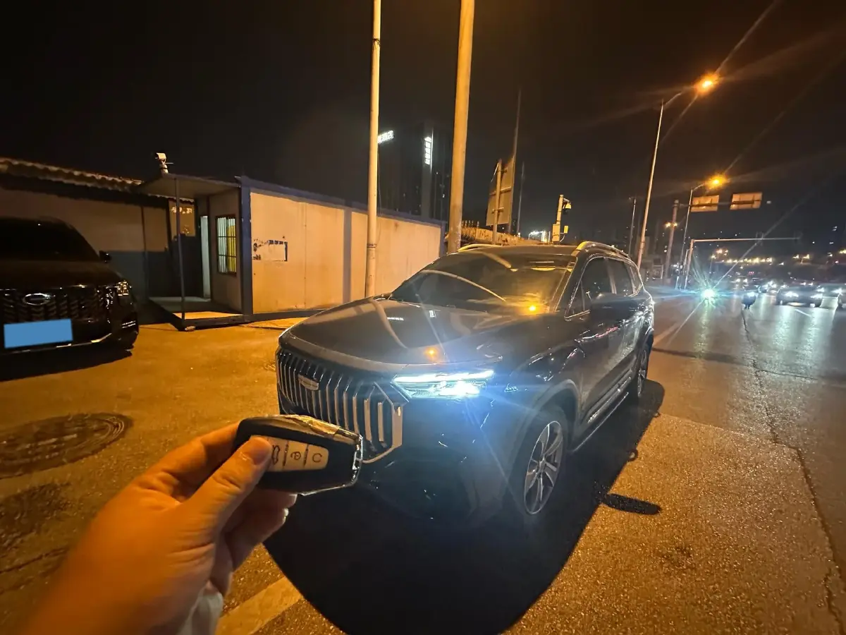 2024 Geely Okavango L 2.0T 218HP L4 7DCT