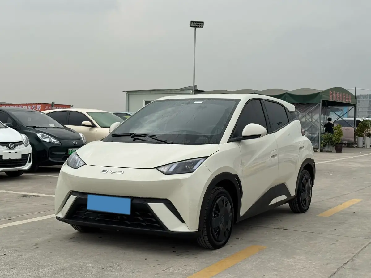 2024 BYD Seagull BEV 30.08KWH