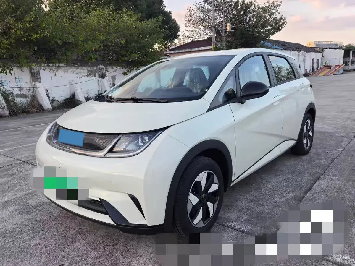 2025 BYD Dolphin BEV 44.928KWH