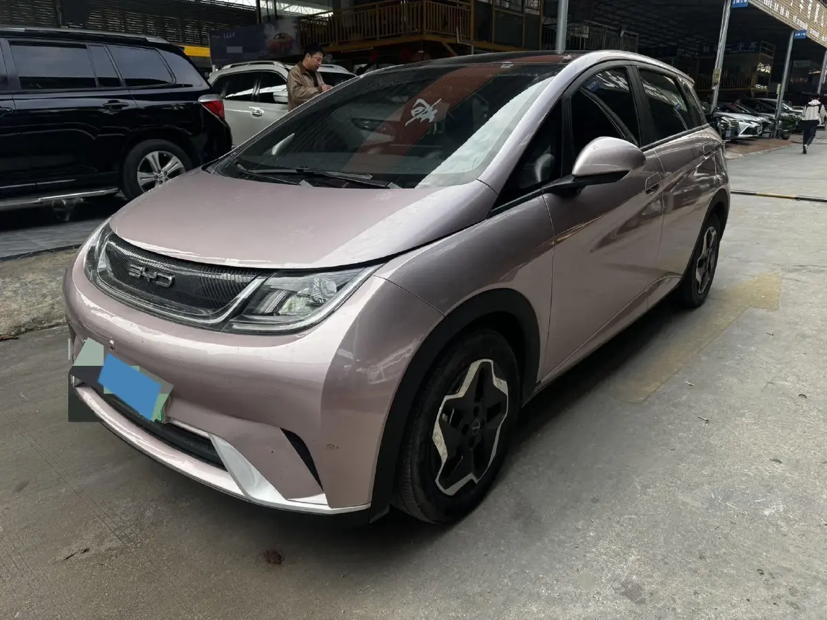 2021 BYD Yuan Pro BEV 50.1KWH