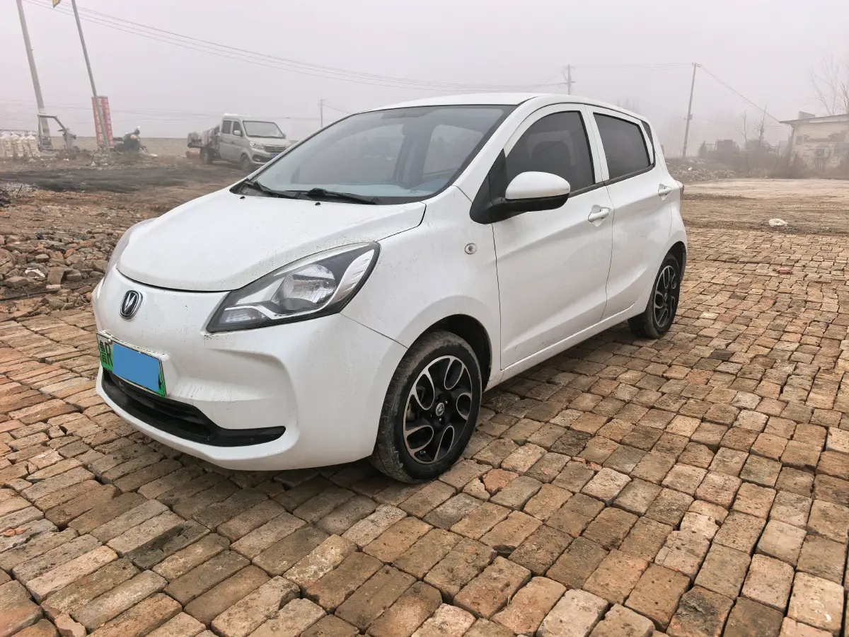 2021 ChangAn BenBen E-Star BEV 31.86KWH