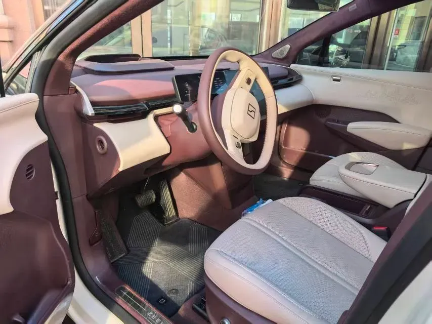 2023 Zeekr X BEV 66KWH,autocango,china used car exporter,china ev exporter,chinese used car exporter,chinese used ev exporter