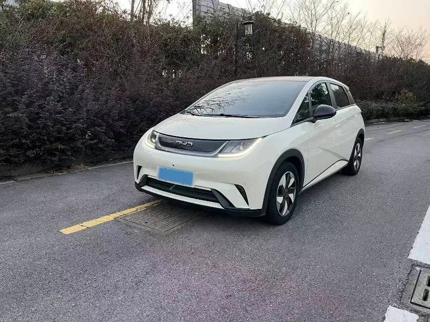 2024 BYD Dolphin BEV 44.928KWH