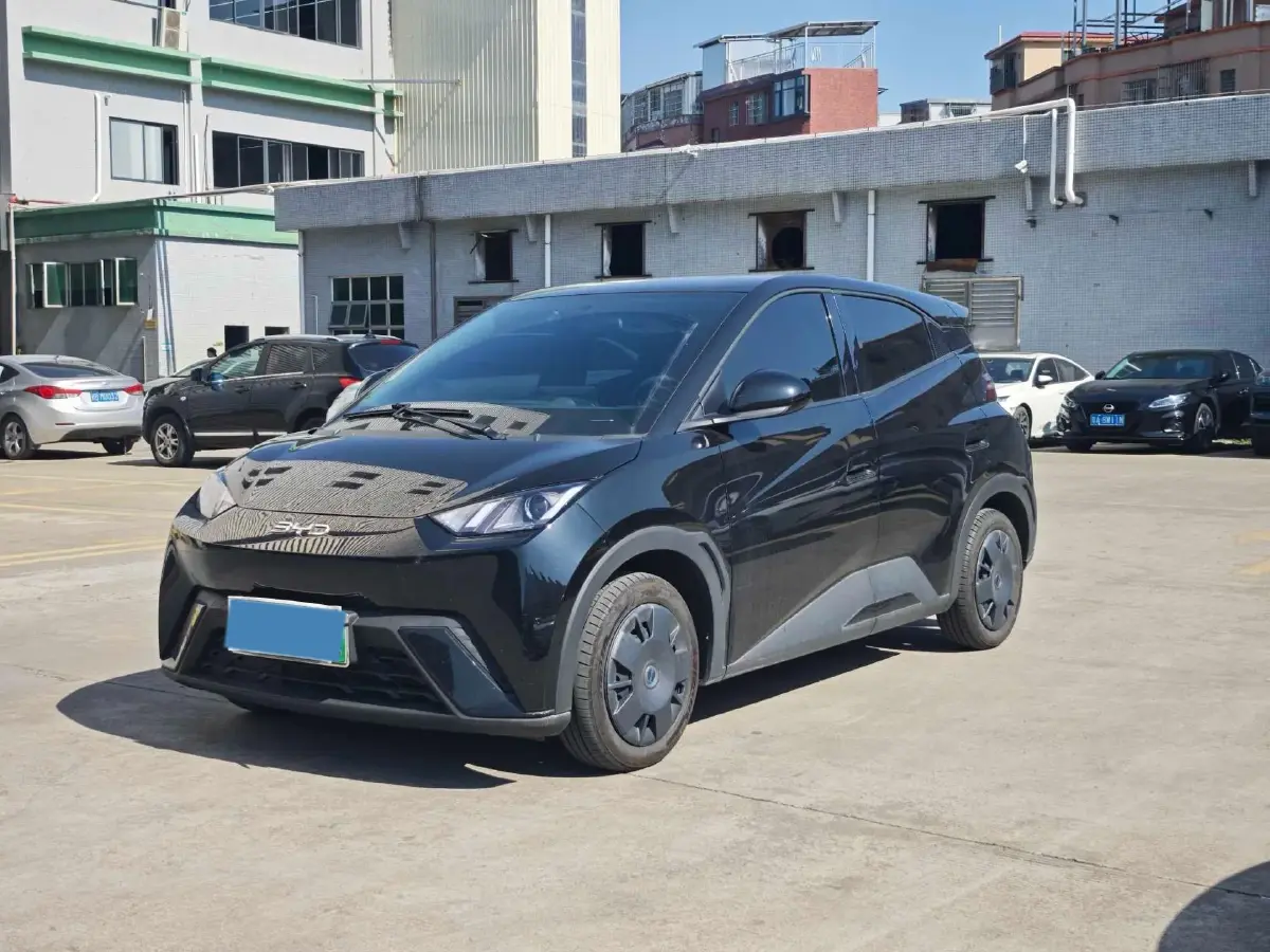 2024 BYD Seagull BEV 30.08KWH