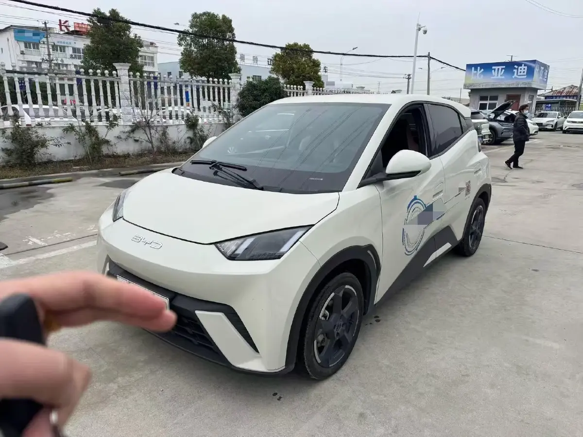 2023 BYD Yuan Pro BEV 38KWH