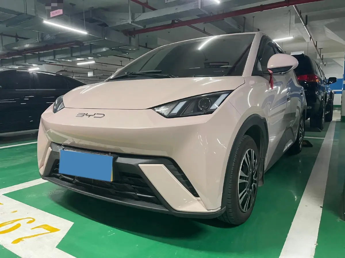 2024 BYD Seagull BEV 30.08KWH