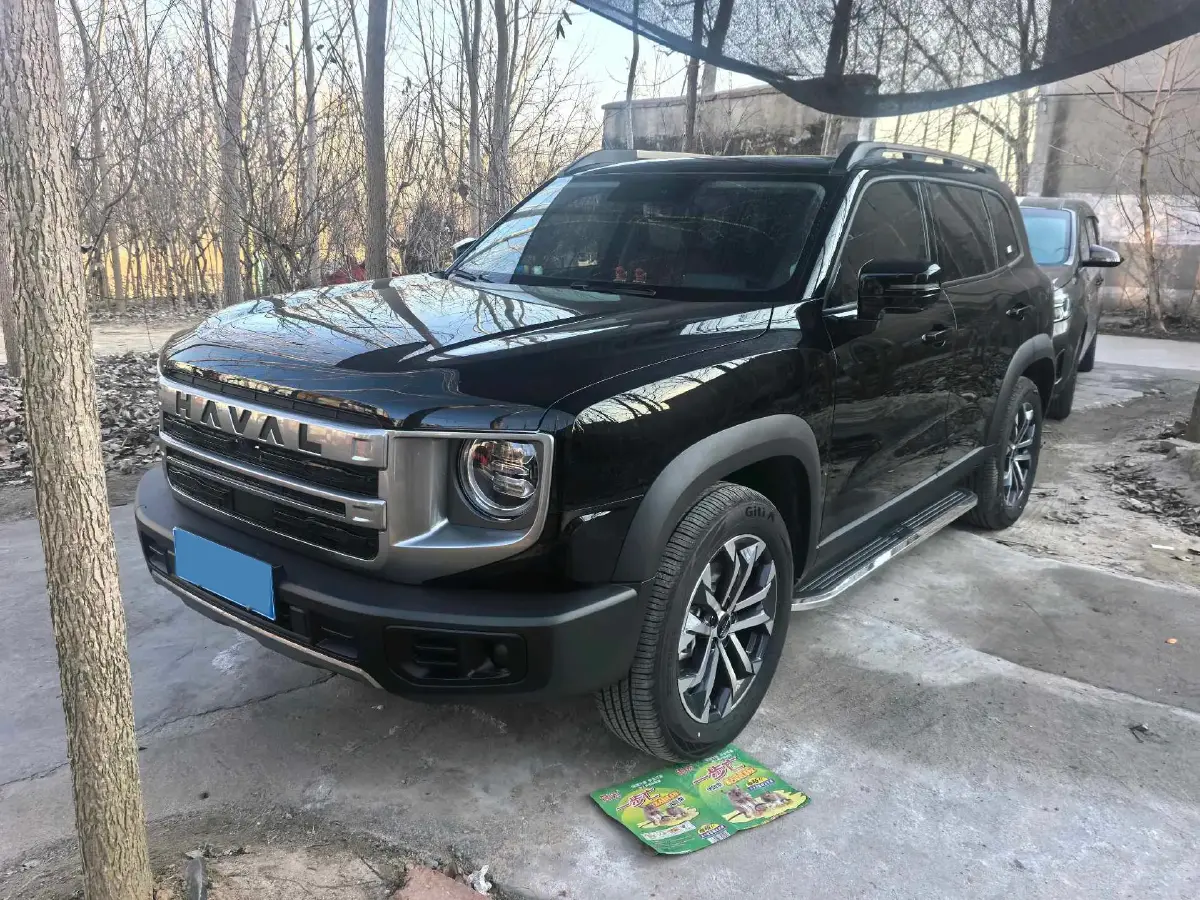 2024 Haval Dargo 1.5T 184HP L4 7DCT