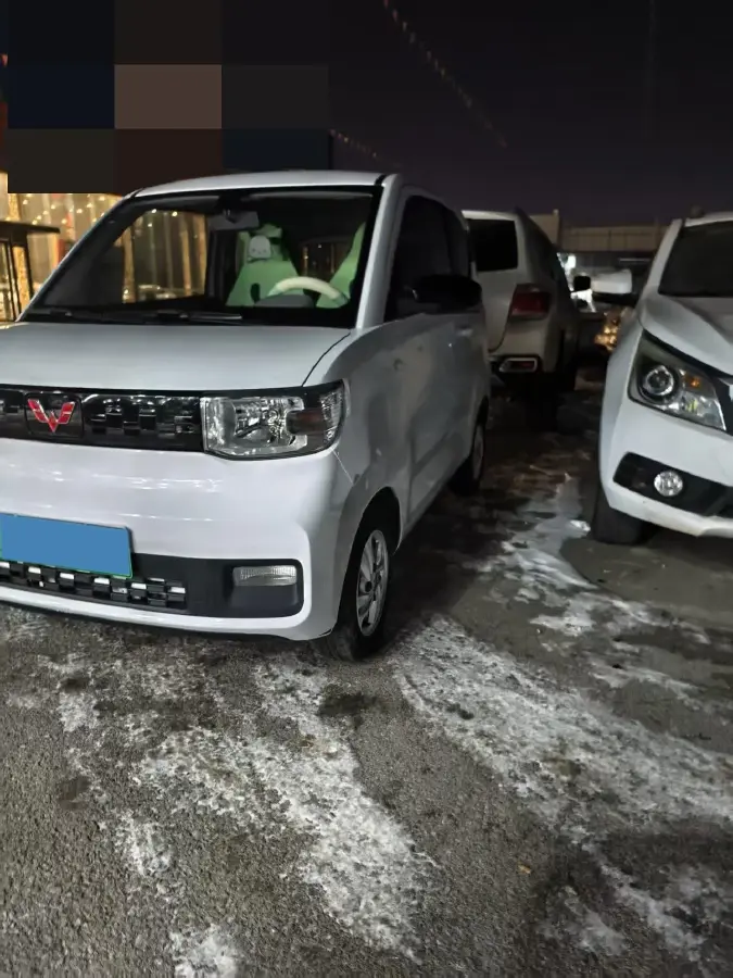 2020 WuLing HongGuang MINI EV BEV 13.8KWH
