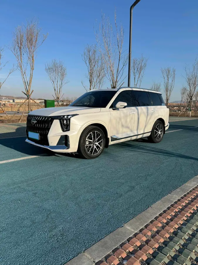 2022 GAC Trumpchi GS8 2.0T 252HP L4 8AT