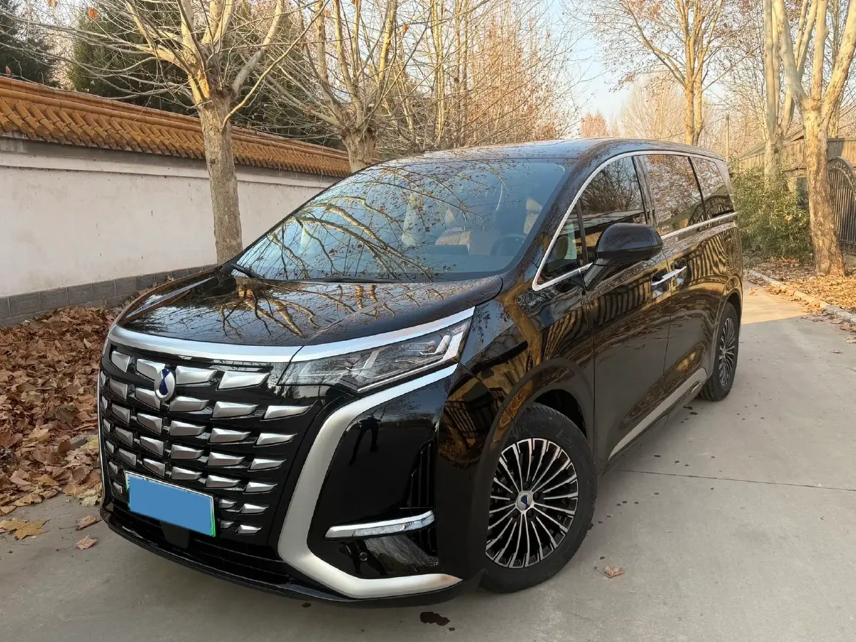 2024 Denza D9 1.5T 139HP L4 E-CVT PHEV 20.39KWH