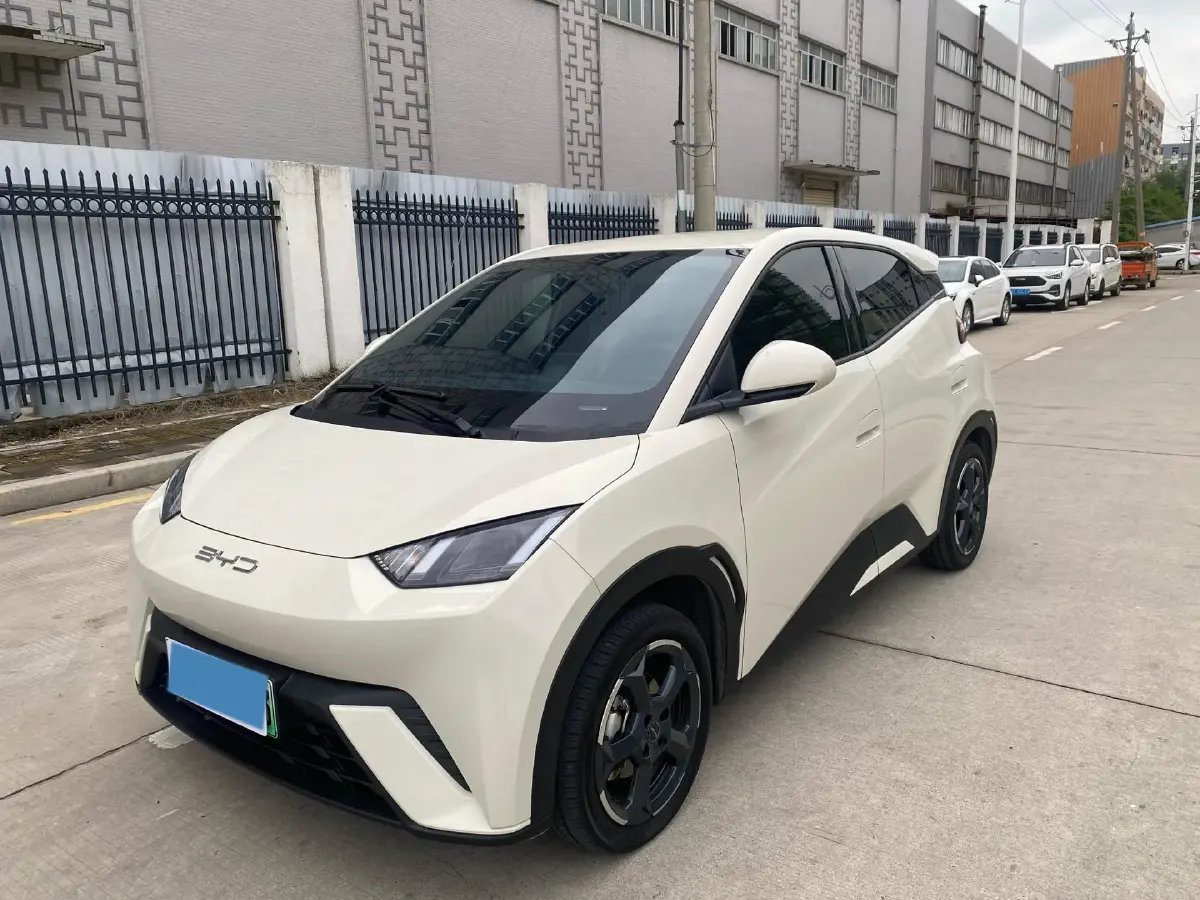 2023 BYD Yuan Pro BEV 38KWH
