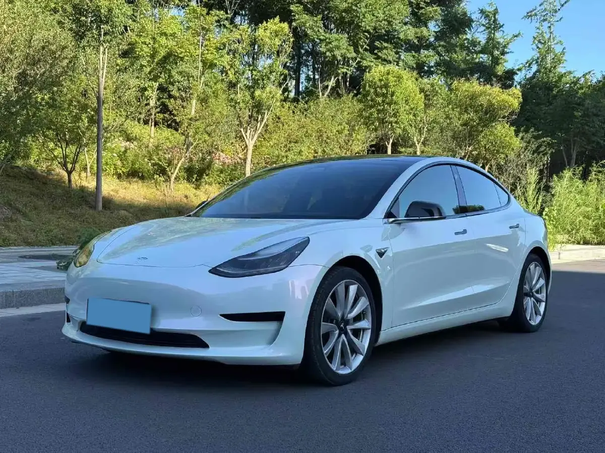 2020 Tesla Model 3 BEV 55KWH