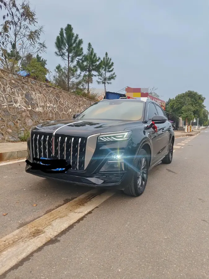 2023 HongQi HS5 2.0T 252HP L4 8AT