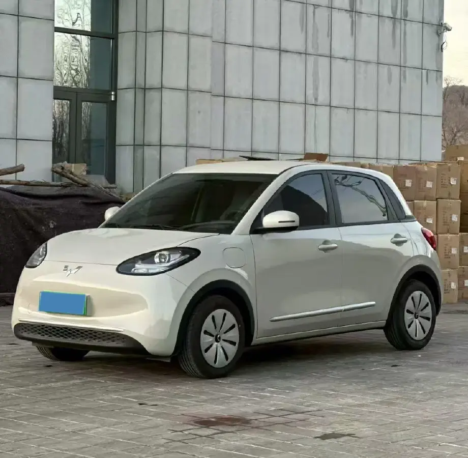 2024 WuLing BinGuo BEV 17.3KWH