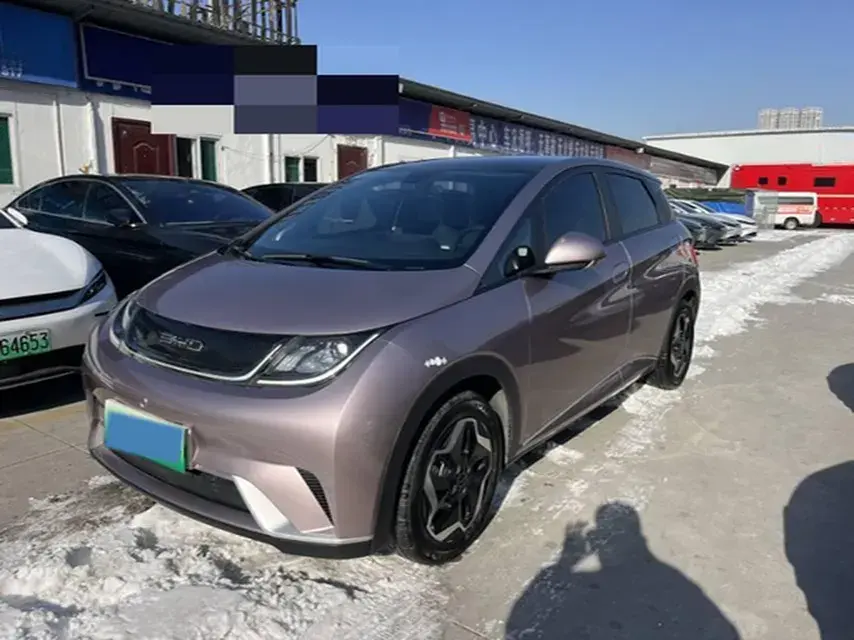 2021 BYD Yuan Pro BEV 50.1KWH