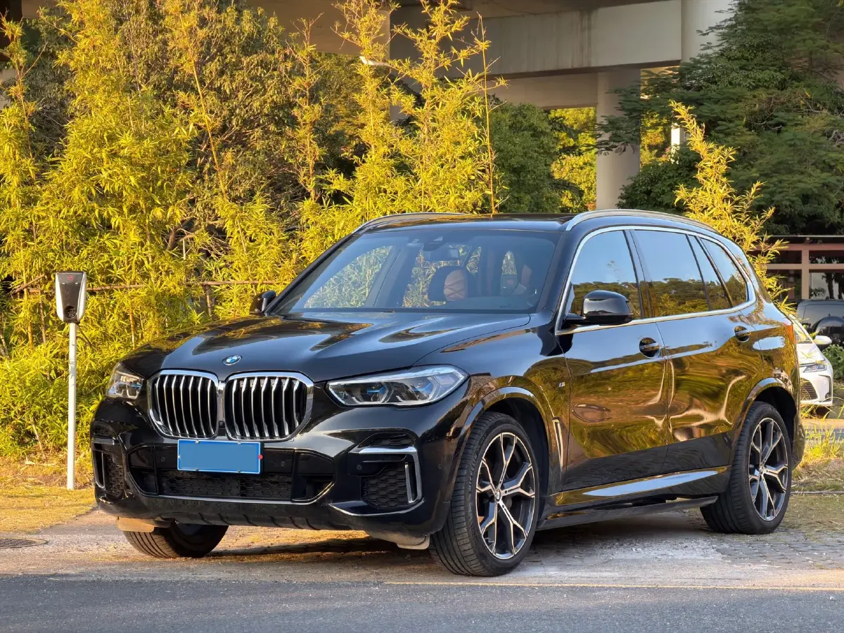 2022 BMW X5 3.0T 333HP L6 8AT