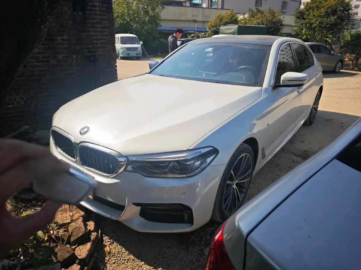 2020 BMW 5 Series 2.0T 252HP L4 8AT