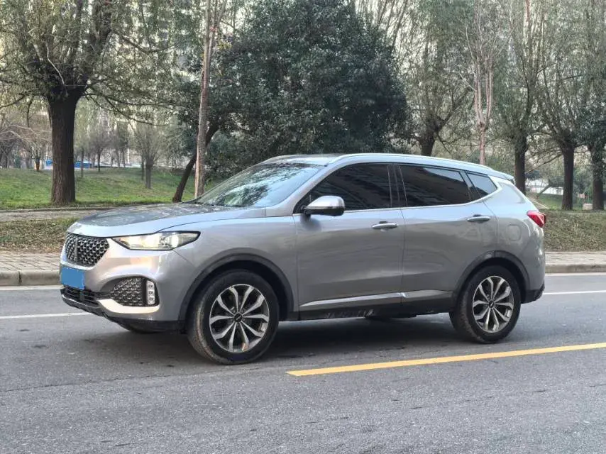 2020 WEY VV6 2.0T 227HP L4 7DCT