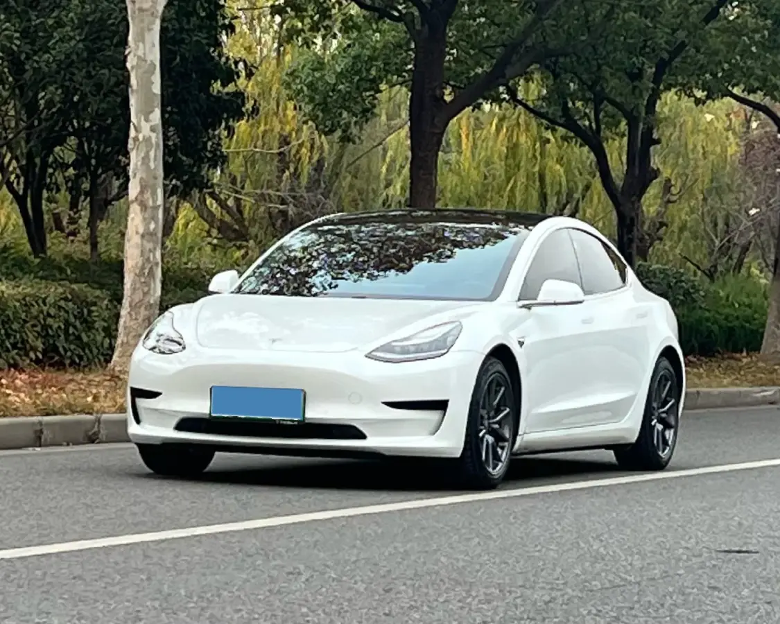 2020 Tesla Model 3 BEV 55KWH