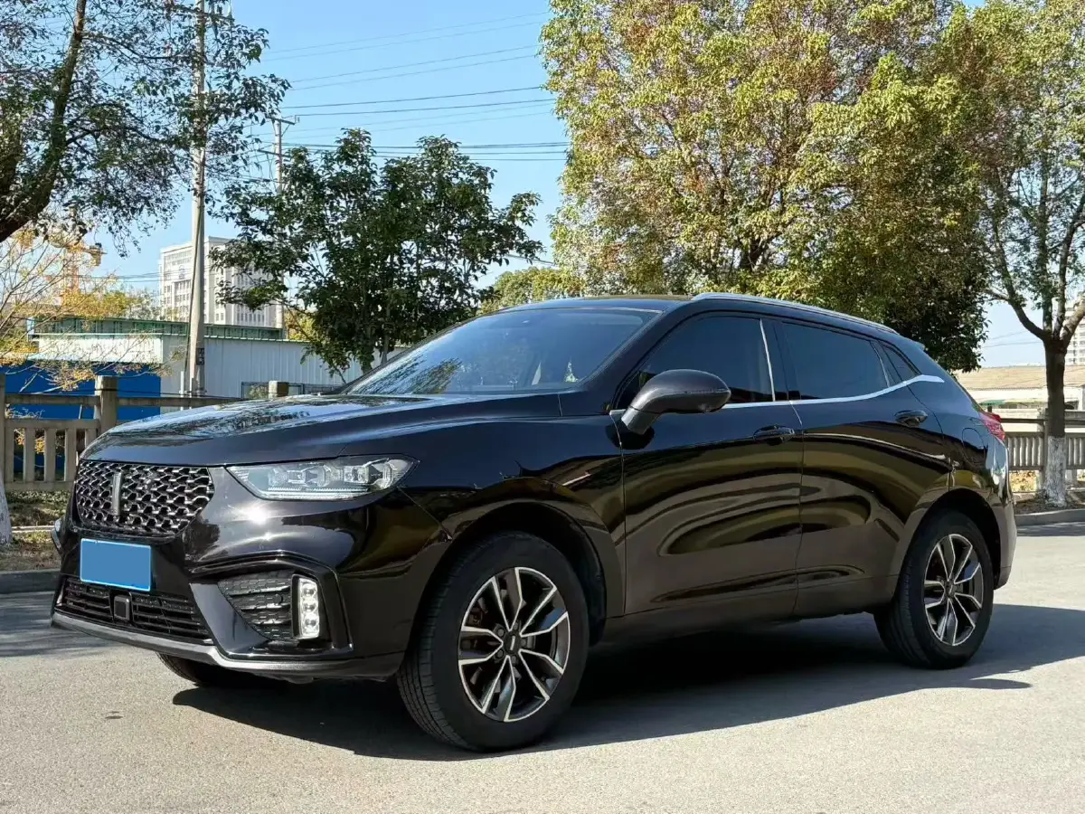 2020 WEY VV5 1.5T 171HP L4 7DCT