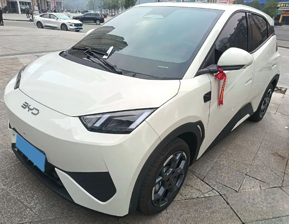 2025 BYD Seagull BEV 30.08KWH