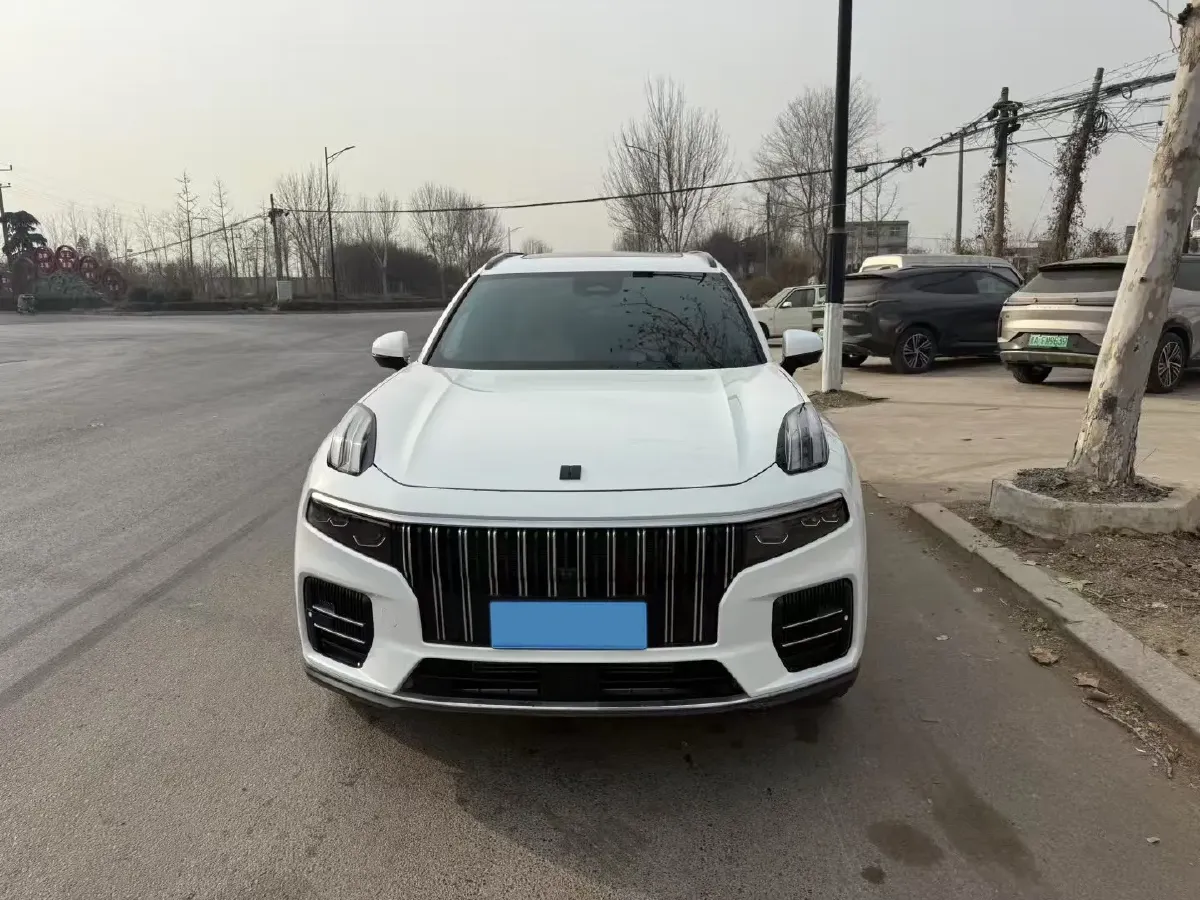 2024 LYNK&CO 09 2.0T 254HP L4 8AT,autocango,china used car exporter,china ev exporter,chinese used car exporter,chinese used ev exporter
