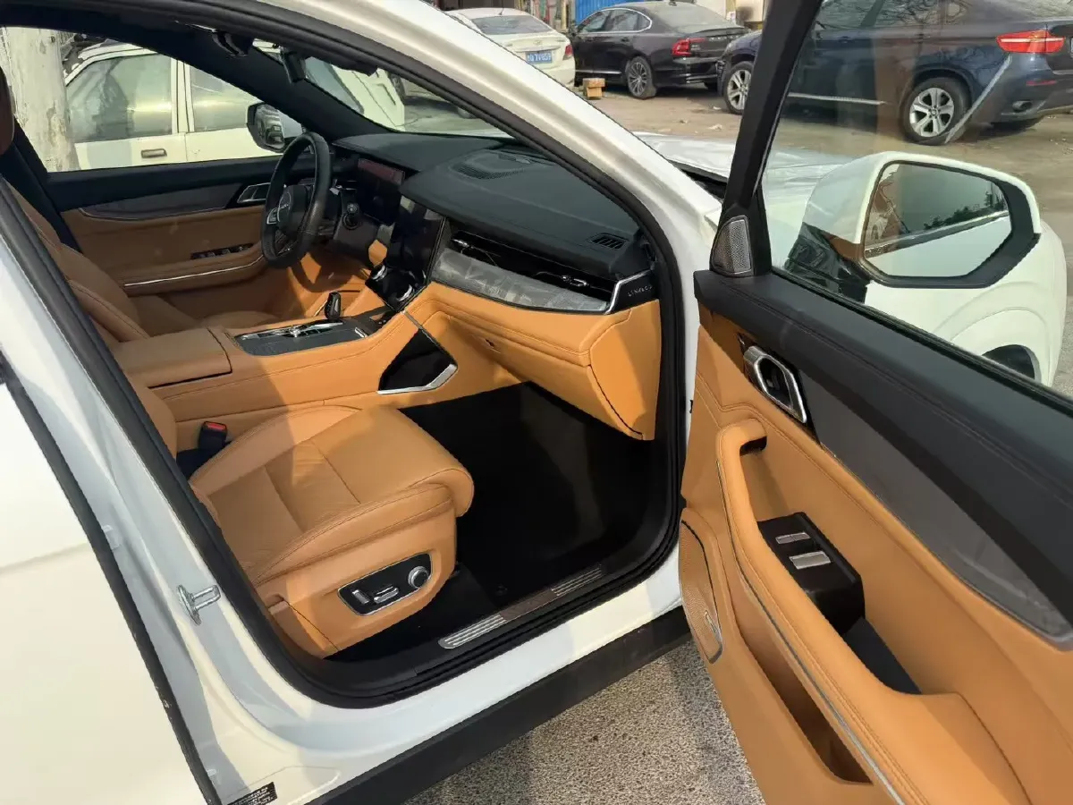2024 LYNK&CO 09 2.0T 254HP L4 8AT,autocango,china used car exporter,china ev exporter,chinese used car exporter,chinese used ev exporter
