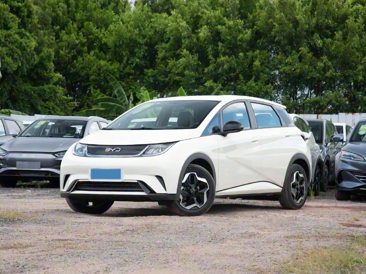 2025 BYD Dolphin BEV 44.928KWH