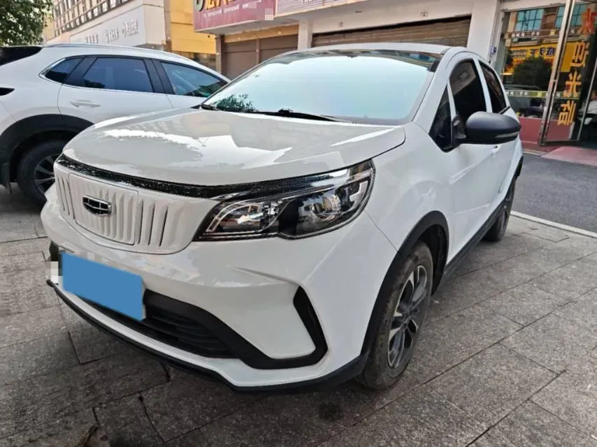 2021 WuLing Nano EV BEV 28KWH,autocango,china used car exporter,china ev exporter,chinese used car exporter,chinese used ev exporter