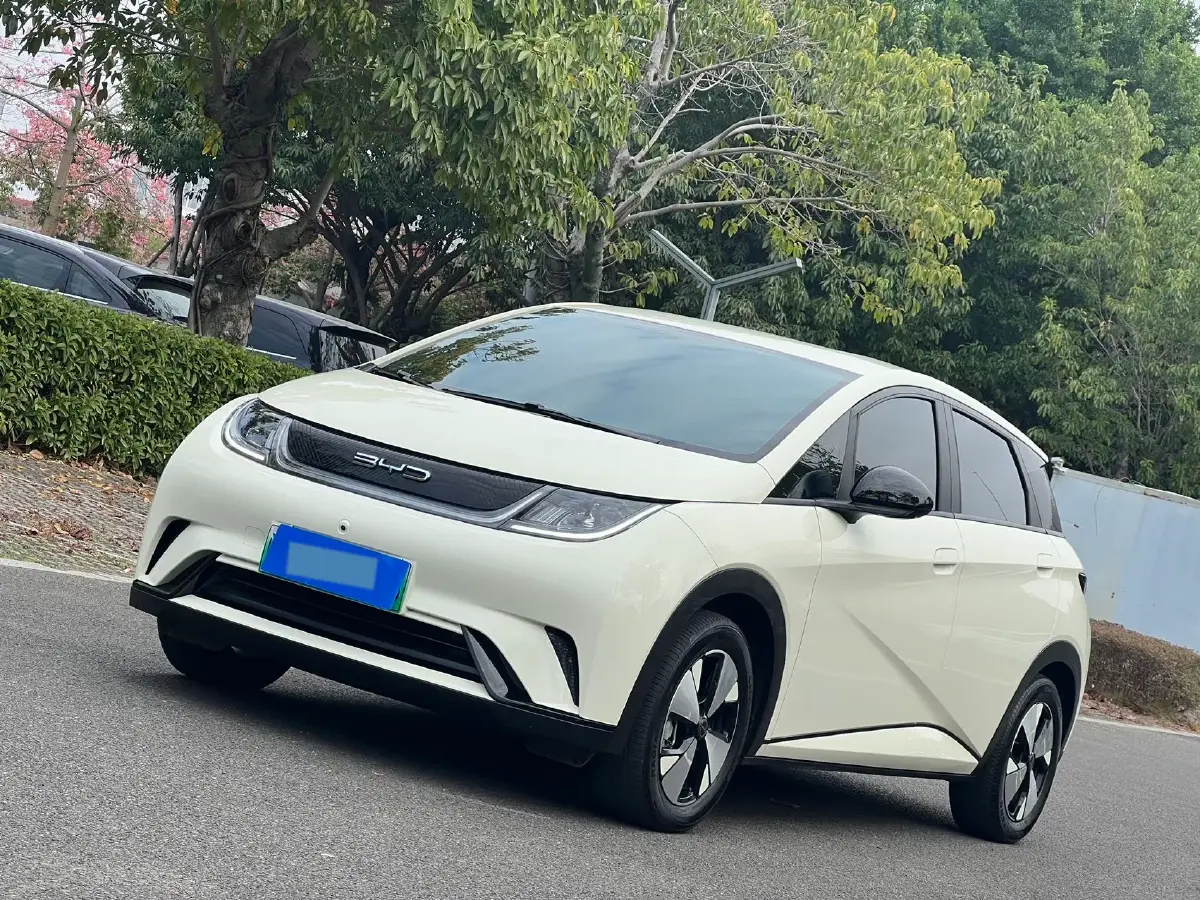 2023 BYD Dolphin BEV 44.928KWH