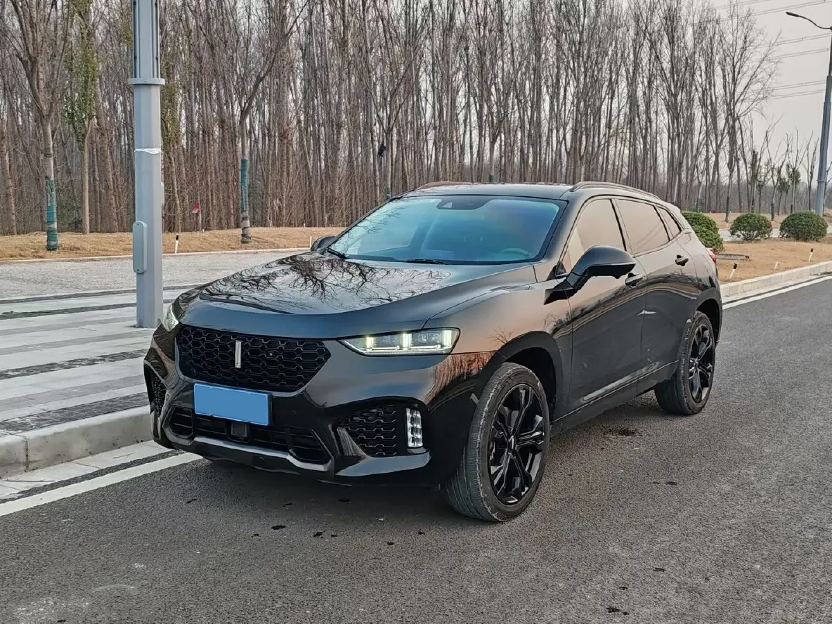 2019 WEY VV7 2.0T 227HP L4 7DCT,autocango,china used car exporter,china ev exporter,chinese used car exporter,chinese used ev exporter