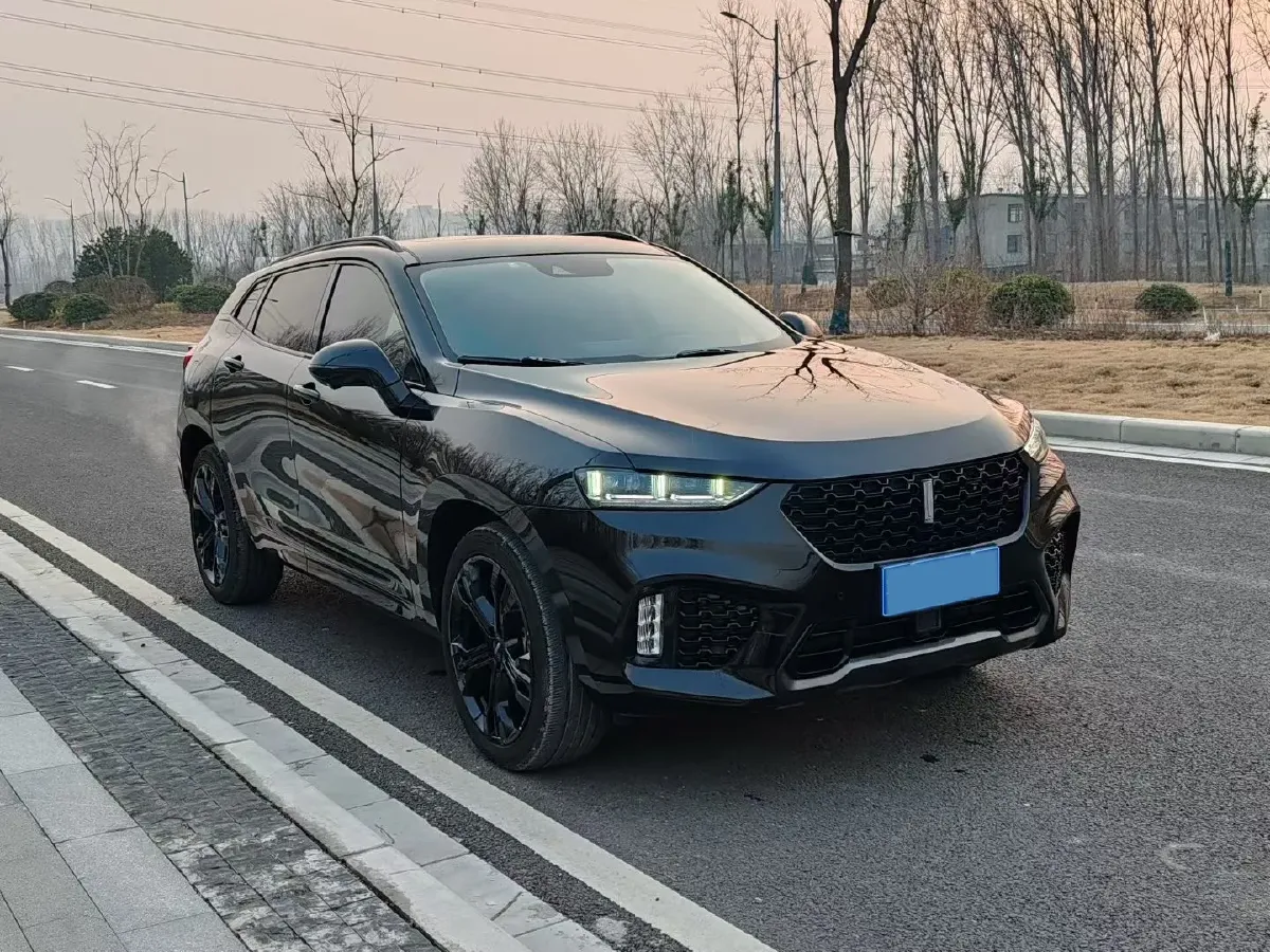 2019 WEY VV7 2.0T 227HP L4 7DCT,autocango,china used car exporter,china ev exporter,chinese used car exporter,chinese used ev exporter