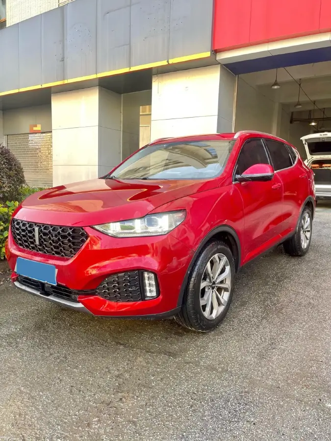 2018 WEY VV6 2.0T 197HP L4 7DCT