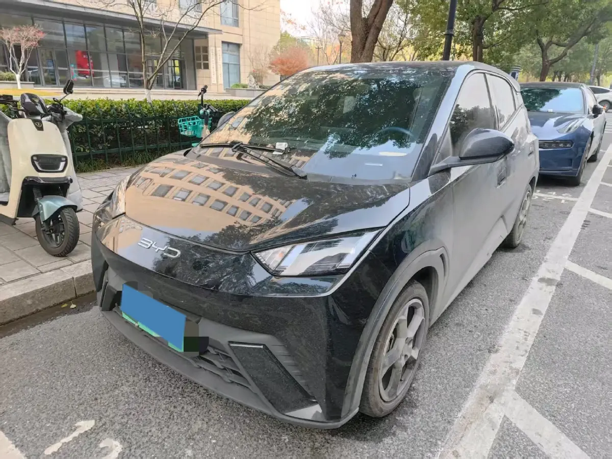 2023 BYD Yuan Pro BEV 38KWH