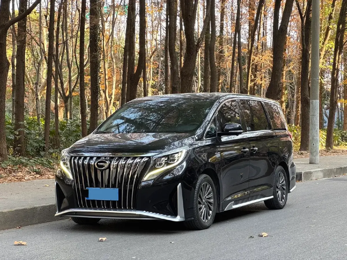 2021 GAC Trumpchi M8 2.0T 252HP L4 8AT