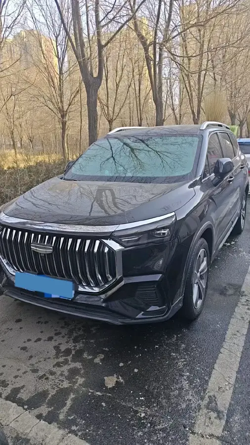 2023 Geely Okavango L 2.0T 218HP L4 7DCT